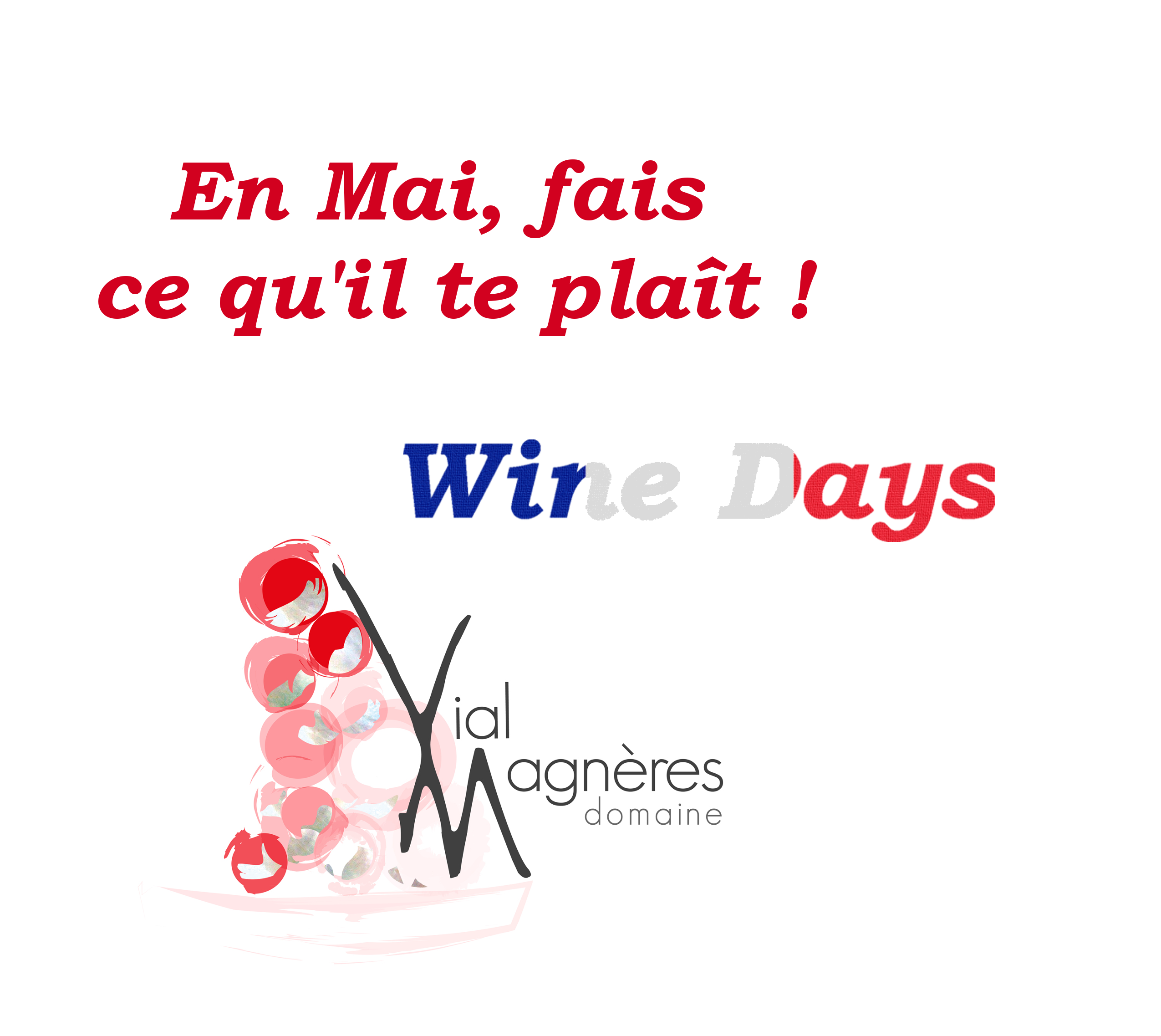 Promotion Mai 2022 - Wine Days Domaine Vial Magnères